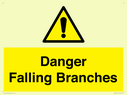 danger-falling-branches~